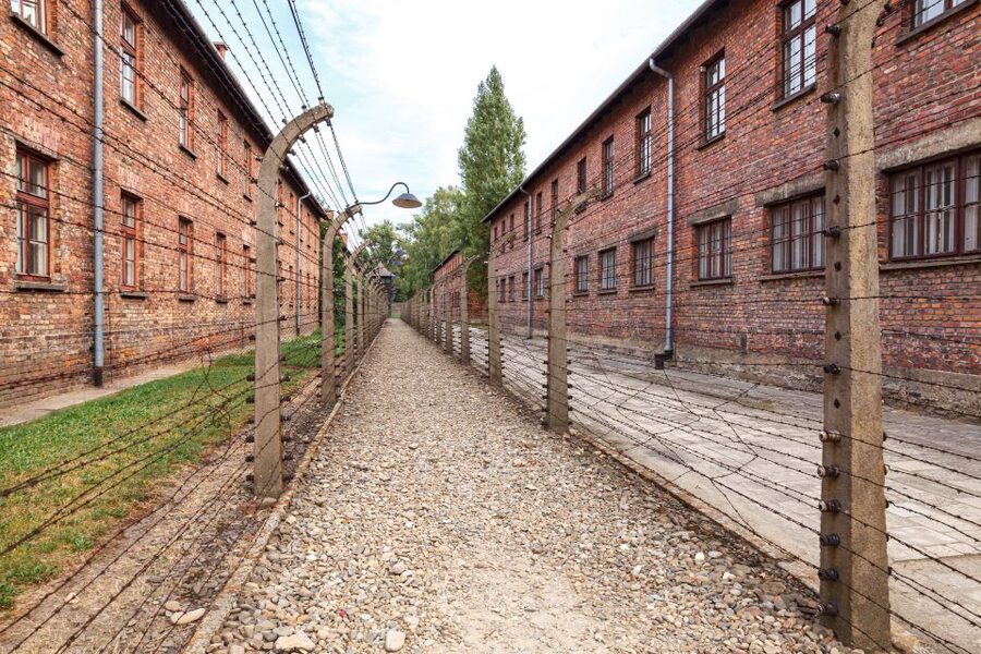 From Krakow: Auschwitz Birkenau Tour with Transfer - Judenrampe and Auschwitz I: what you see first and how to pace yourself