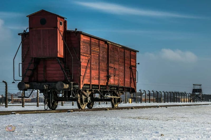 From Krakow: Auschwitz-Birkenau Tour with Transportation - Birkenau Memorial: why you’ll feel the shift in space and scale