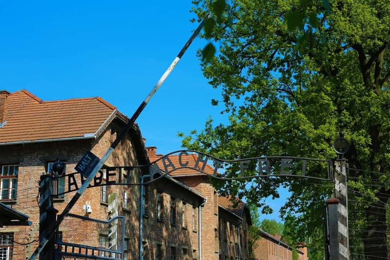 From Krakow: Auschwitz Museum and Wieliczka Salt Mine Tour - Auschwitz-Birkenau: how the guided route helps you understand what you’re seeing