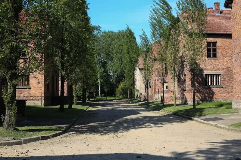 From Krakow: Auschwitz Museum and Wieliczka Salt Mine Tour - Who this Krakow tour suits best, and who should reconsider