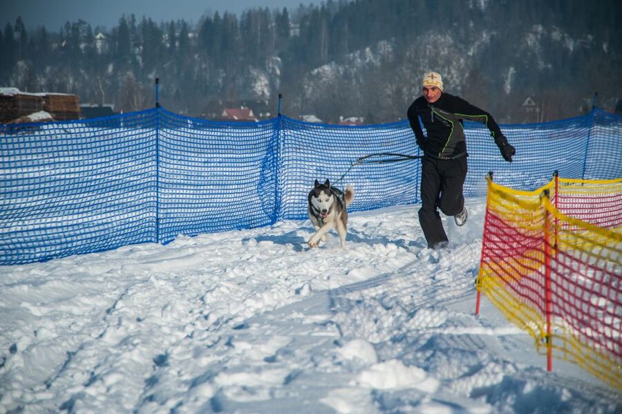 From Krakow: Dogsled Ride in Tatra Mountain - Husky reserve time: meeting the team before you ride