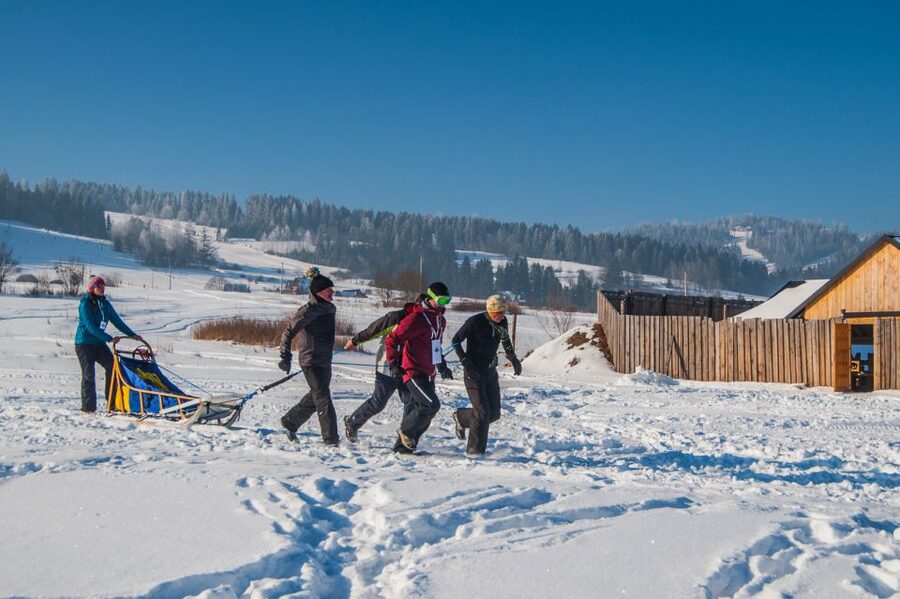 From Krakow: Dogsled Ride in Tatra Mountain - What to wear and bring, so cold does not ruin the fun