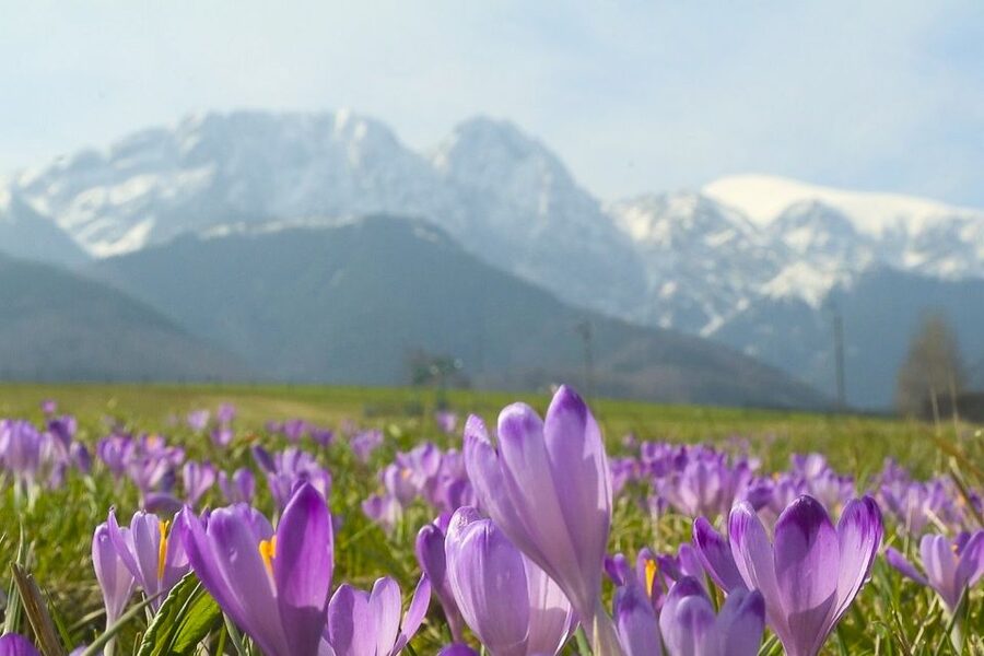 From Krakow: Full-Day Tour of Zakopane and Tatra Mountains - Key moments you will care about most