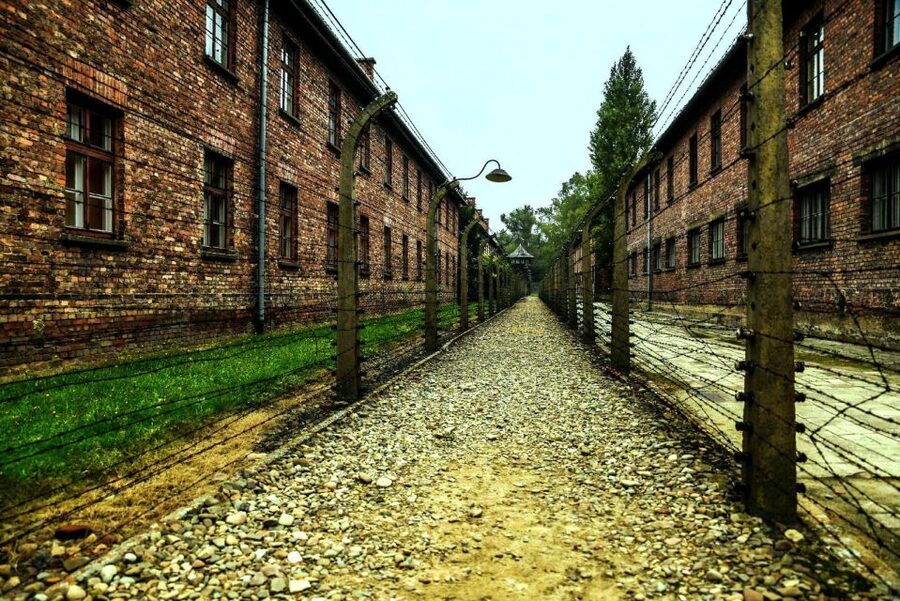 From Krakow: Guided Auschwitz-Birkenau Group Tour by Minivan - Key things to know before you go