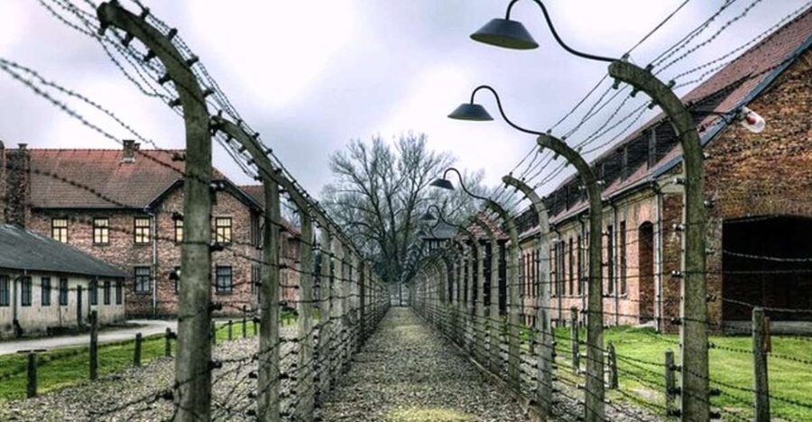 From Krakow: Guided Auschwitz-Birkenau Group Tour by Minivan - FAQ