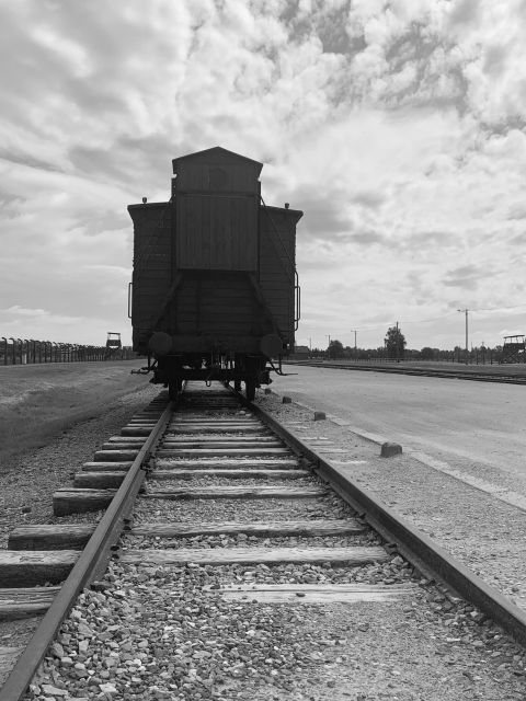 From Krakow: Guided Auschwitz-Birkenau Group Tour by Minivan - Auschwitz II-Birkenau: why scale hits harder than facts
