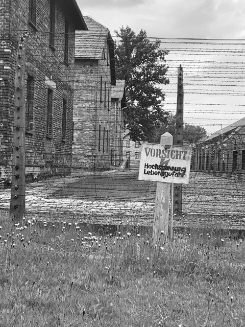 From Krakow: Guided Auschwitz-Birkenau Group Tour by Minivan - The quick break and the on-site museum: when the story gets personal