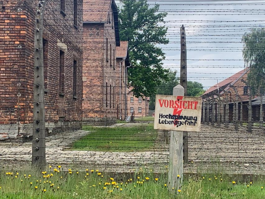 From Krakow: Guided Auschwitz-Birkenau Group Tour by Minivan - Price and value at around $68: what you pay for, what you save