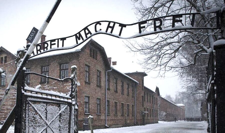 From Krakow: Guided Auschwitz-Birkenau Group Tour by Minivan - Who should book this minivan Auschwitz-Birkenau tour