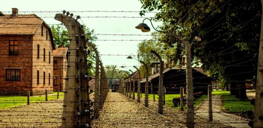 From Krakow: Guided Auschwitz-Birkenau Group Tour by Minivan - The museum guide, the small group, and what skip-the-line changes