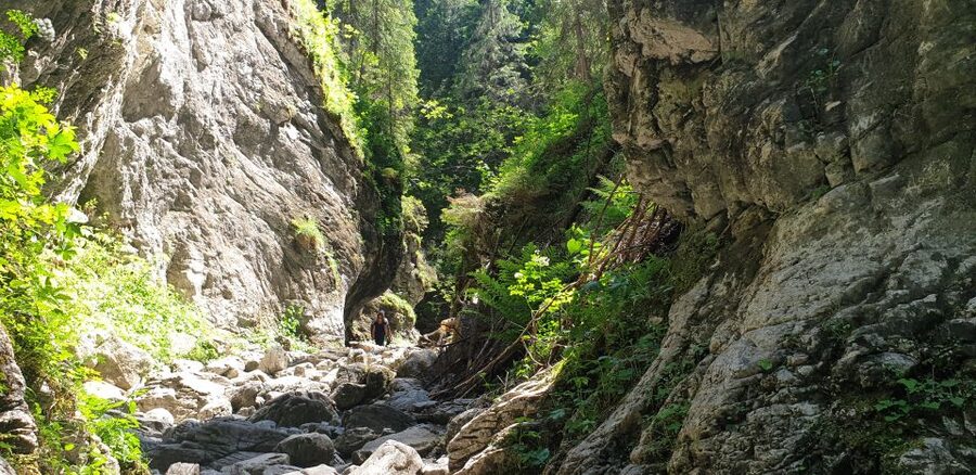 From Krakow: Hiking in the Tatra Mountains and Thermal baths - Food Planning: Cheese and Alcohol Start the Day, Then You Manage the Rest