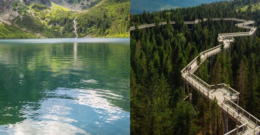 From Krakow: Morskie Oko and Slovakia Treetop Walk - The Treetop Walk in Bachledova Valley: What You’ll Actually Do