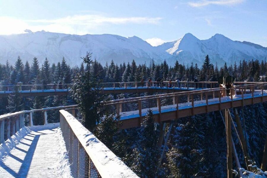 From Krakow: Morskie Oko and Slovakia Treetop Walk - Price and Value: Is $251 Worth It?