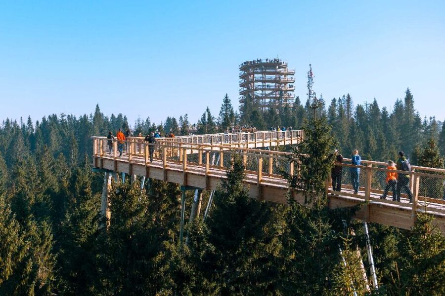 From Krakow: Morskie Oko and Slovakia Treetop Walk - Timing Tips: How to Get the Best Views Without Burning Out