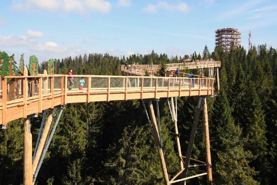 From Krakow: Morskie Oko and Slovakia Treetop Walk - Who This Day Trip Suits Best