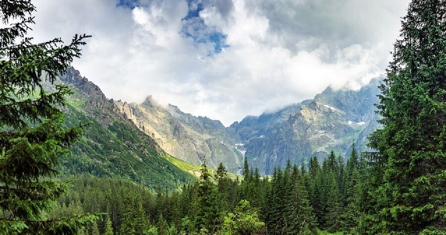 From Krakow: Morskie Oko, Zakopane & Thermal Baths - The people part: a driver who makes the day smoother