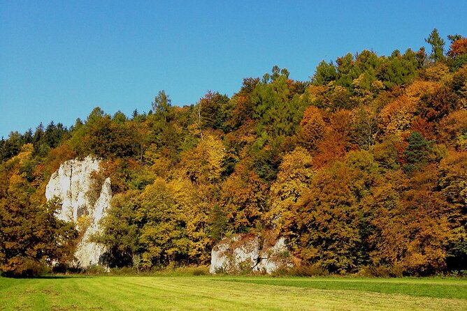 From Krakow: Ojcow National Park and Pieskowa Skala Castle - From Krakow to Ojców, the “Jurassic detour” that makes sense