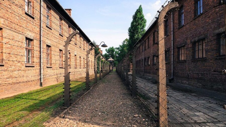 From Krakow: Roundtrip Transportation to Auschwitz Birkenau - Arrival and Tickets: What You Need to Know Before You Queue