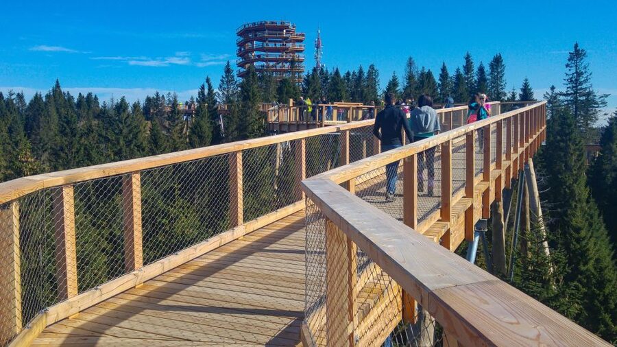From Krakow: Slovakia Treetop Walk, Zakopane & Thermal Spa - Small details that can make or break the day