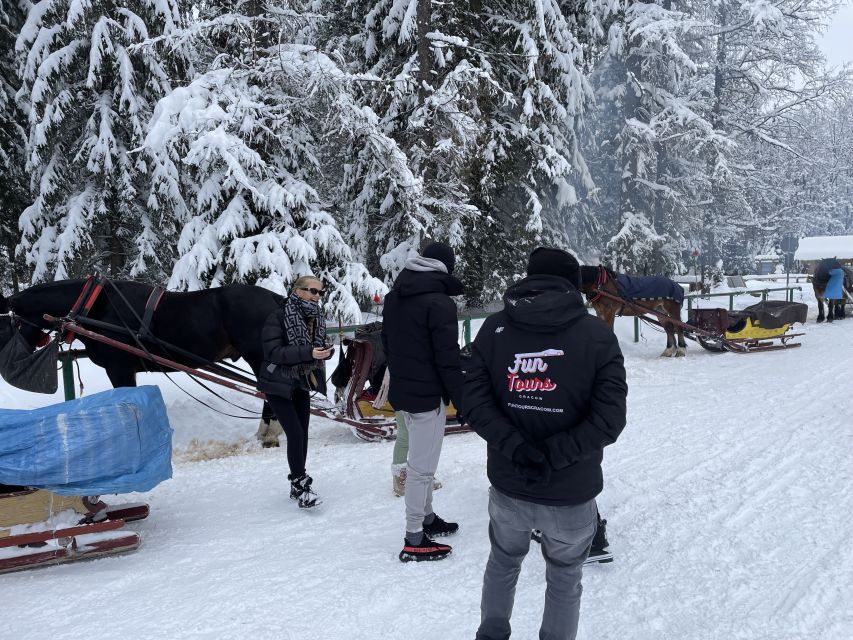From Krakow: Snowmobile, Zakopane & Chochołowskie Baths - Who Should Book This Tour (And Who Should Skip It)