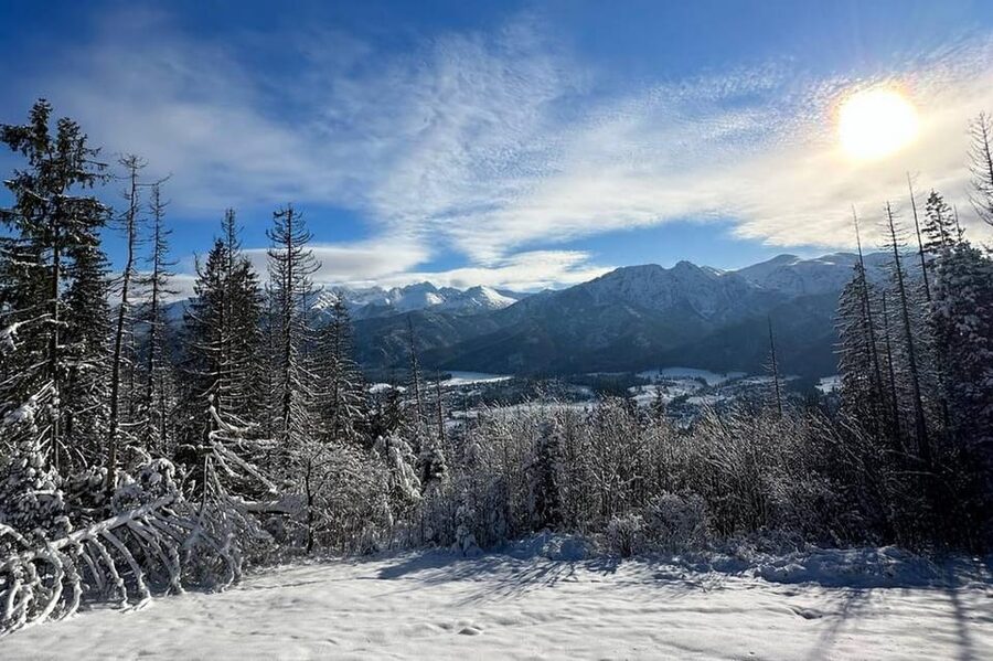 From Krakow: Tour to Zakopane with Tasting & Hotel Pickup - Pricing and Value: Is $86 Worth It?