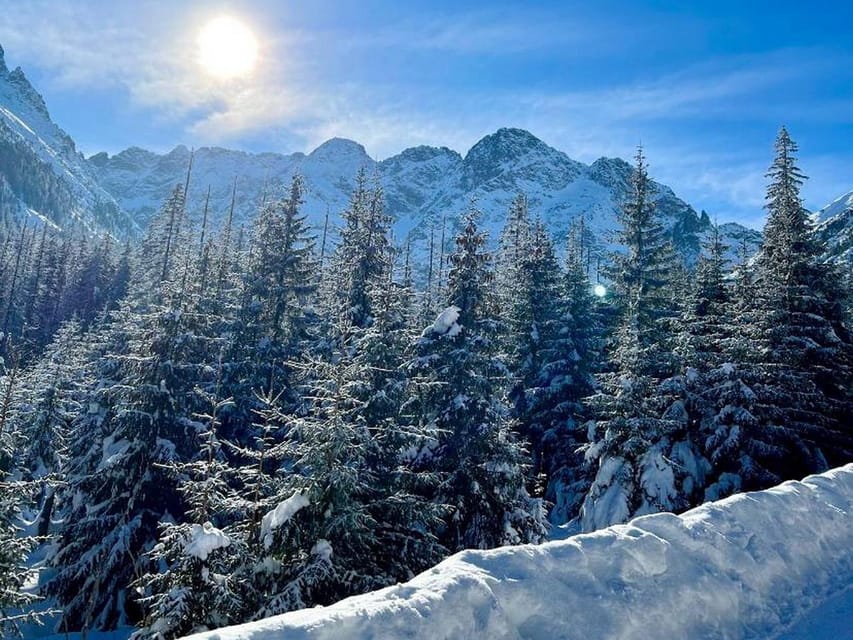 From Krakow: Tour to Zakopane with Tasting & Hotel Pickup - Chochołów Wooden Houses: A Quick Stop That Gets the Point Across