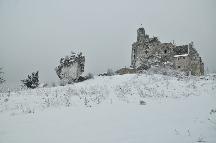 From Krakow: Trail of the Eagles’ Nests Day Tour - Mirów and Bobolice: Finishing With Two Castle Stops Close Together