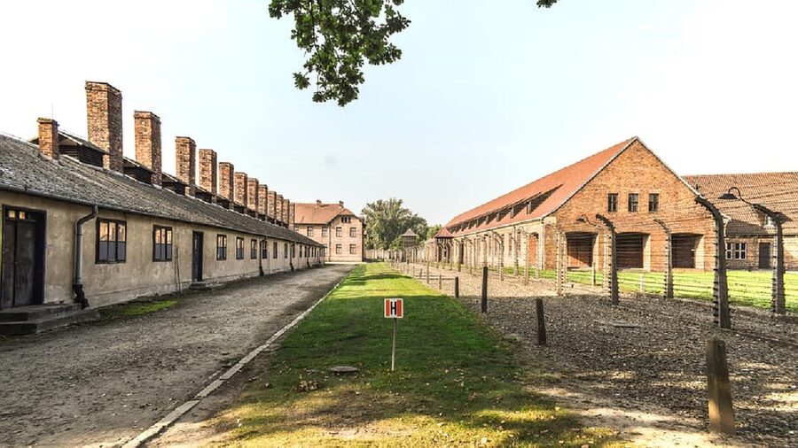 From Krakow: Wieliczka Salt Mine & Auschwitz Guided Trip - Why this Auschwitz plus Wieliczka plan feels especially worthwhile