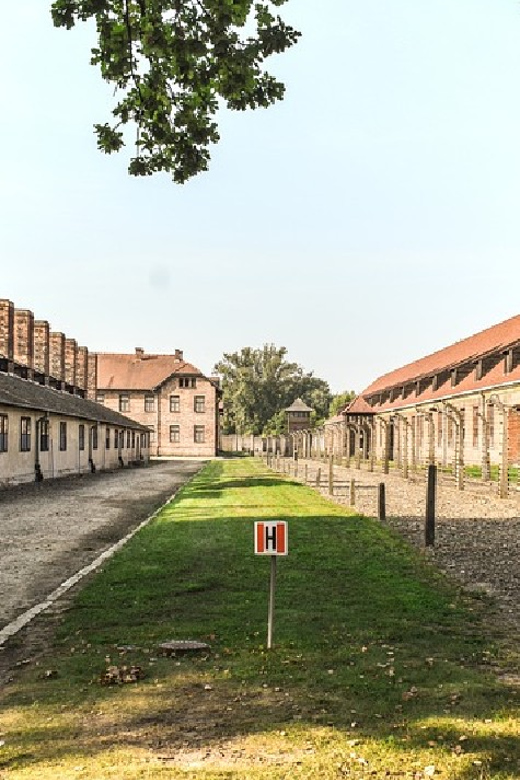 From Krakow: Wieliczka Salt Mine & Auschwitz Guided Trip - Auschwitz II-Birkenau: the railway, ruins, and the scale question