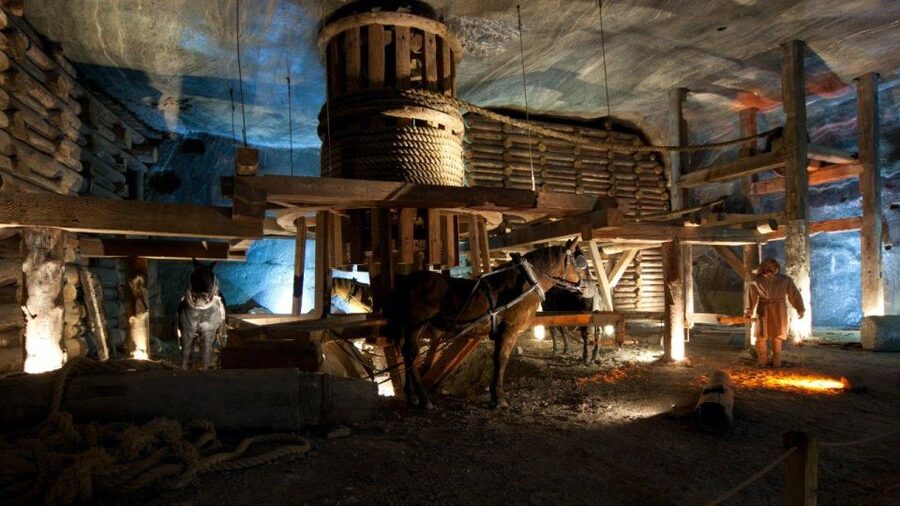 From Krakow: Wieliczka Salt Mine Guided Tour & Transfer - Who this Wieliczka Salt Mine tour suits best