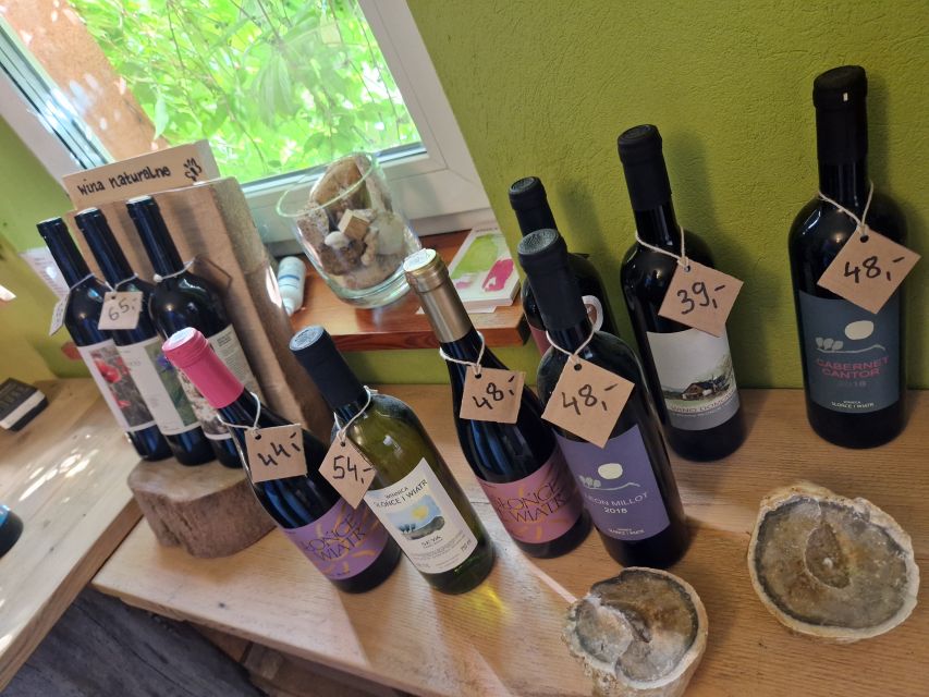 From Krakow: Wine Tasting at Vineyard - Winemaking history, plus the owners’ experience from four continents