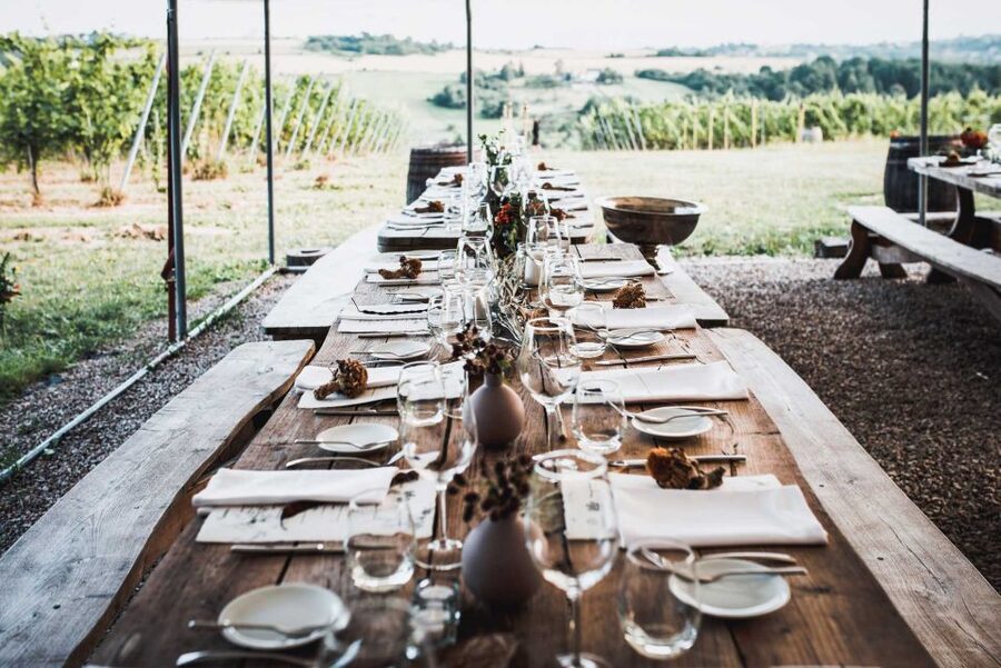 From Krakow: Wine Tasting at Vineyard - The 4-wine-and-cider tasting: how to make it worth your money
