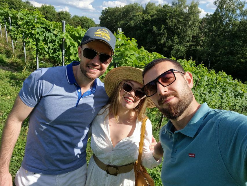 From Krakow: Wine Tasting at Vineyard - The vineyard walk: organic methods and plants beyond the grapes