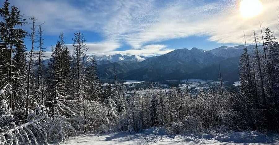 From Krakow: Zakopane Day Trip with Funicular & Food Tasting - The shepherd hut cheese and drink tasting: small stop, big flavor payoff