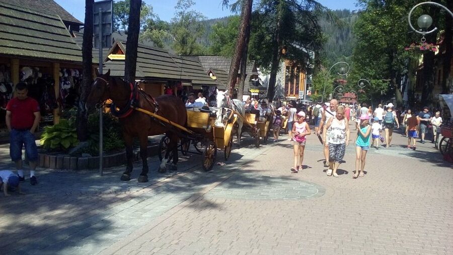 From Krakow: Zakopane & Hot Thermal Springs Private Tour - Bacówka cheese factory stop: oscypek and vodka, served right
