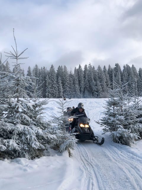 From Krakow: Zakopane Snowmobile NIGHT Ride, Bonfire, - Bonfire Time, Oscypek, and Mulled Wine in Winter