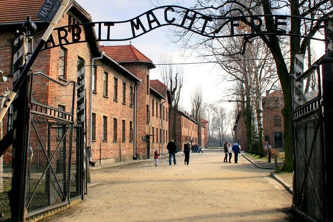 Full-Day Tour of Auschwitz and Wieliczka Salt Mine from Krakow - Birkenau and the walk: what to expect beyond the main signs