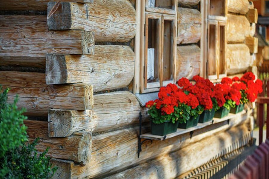 Horse Sleigh 2-3h Ride with Hot Springs or Zakopane Combos - Who This Trip Suits Best, and Who Might Skip It