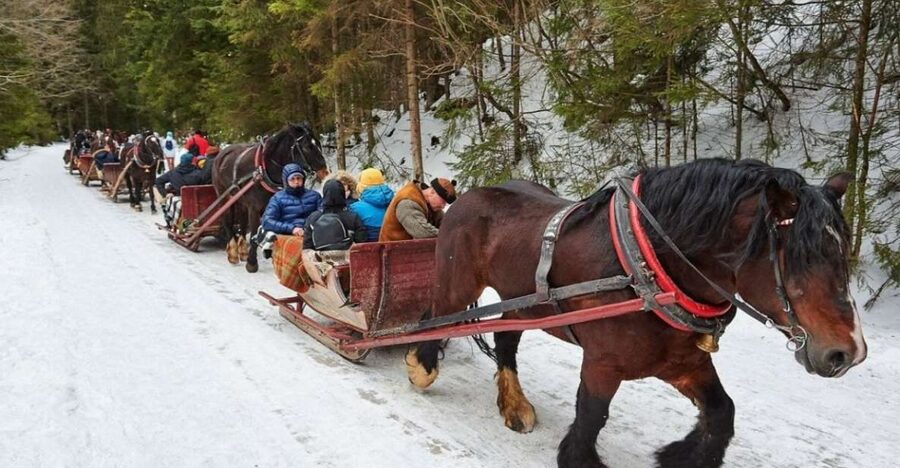 Horse Sleigh 2-3h Ride with Hot Springs or Zakopane Combos - Krupowki Street, Souvenirs, and Meeting Real People