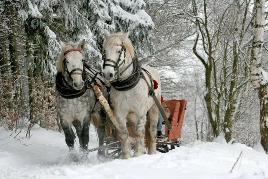 Horse Sleigh 2-3h Ride with Hot Springs or Zakopane Combos - Included Vodka and Cottage Cheese Tasting: A Small Culture Hit