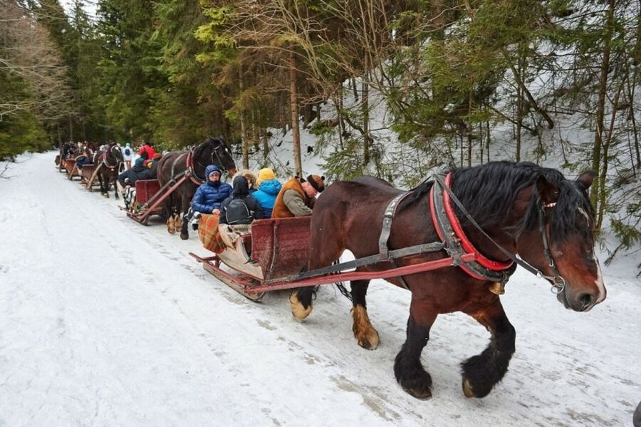 Horse Sleigh 2-3h Ride with Hot Springs or Zakopane Combos - Chocholow Village and Wooden Chapels: A Look at Podhale’s Visual Identity