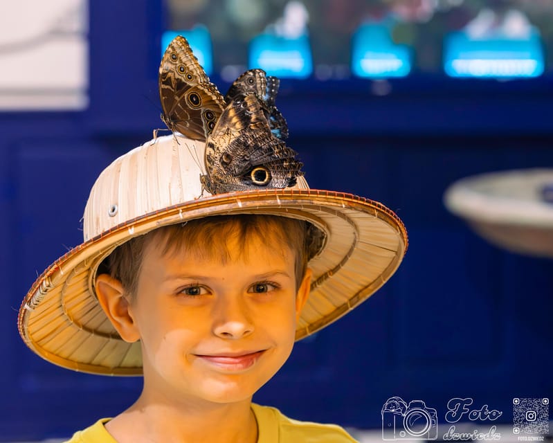 Krakow: 4 Mazes and Living Butterfly Museum Entry Ticket - Key things to know before you go
