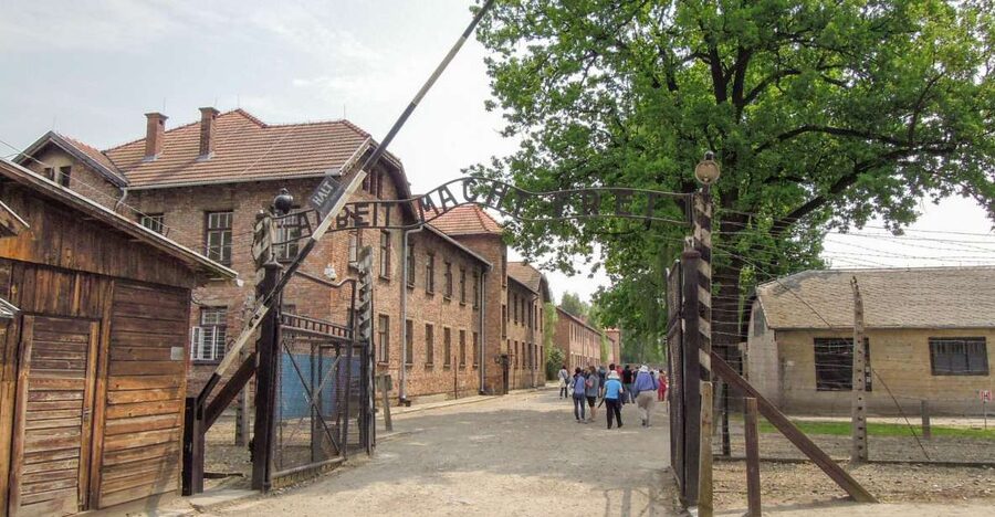 Krakow: Auschwitz and Wieliczka Salt Mine Combo Tour - Auschwitz I and Birkenau: what you will see with a guide