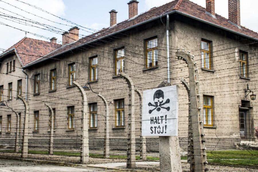 Krakow: Auschwitz-Birkenau and Salt Mine Guided Tour - Should you book this Auschwitz-Birkenau and Salt Mine day?