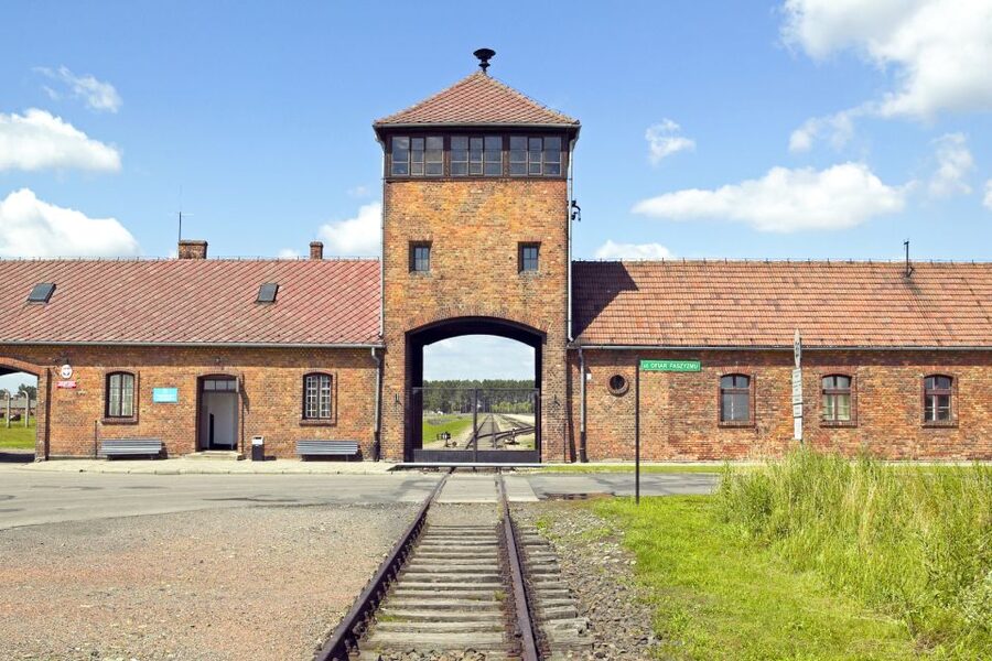 Krakow: Auschwitz-Birkenau and Salt Mine Guided Tour - A day that pairs Auschwitz-Birkenau with Wieliczka Salt Mine