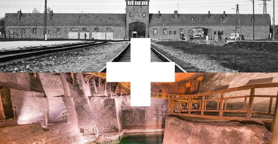 Krakow: Auschwitz-Birkenau and Salt Mine Guided Tour - The timing, free time, and where you get dropped off