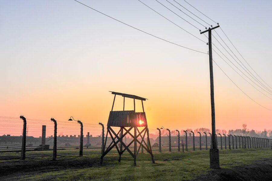 Krakow: Auschwitz-Birkenau and Salt Mine Guided Tour - Who should book this and who should skip it