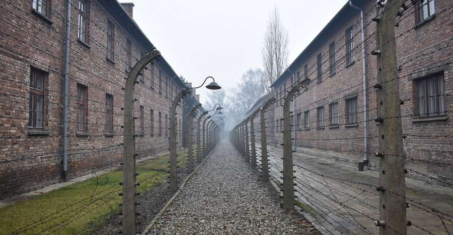 Krakow: Auschwitz-Birkenau Day Trip with Tour Leader - Self-guided inside, with support before and during check-in