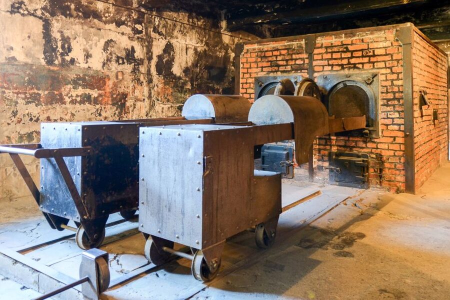 Krakow: Auschwitz-Birkenau Day Trip with Tour Leader - What you really get for the $37 price