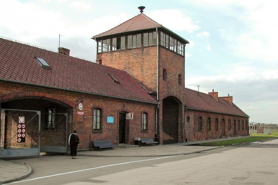 Krakow: Auschwitz-Birkenau Day Trip with Tour Leader - Practical do’s and don’ts that affect your day